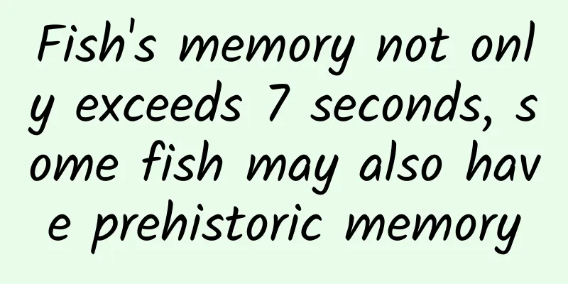Fish's memory not only exceeds 7 seconds, some fish may also have prehistoric memory