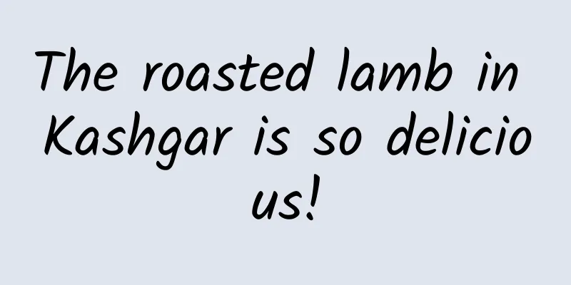 The roasted lamb in Kashgar is so delicious!