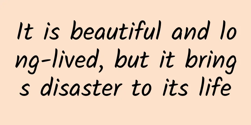 It is beautiful and long-lived, but it brings disaster to its life