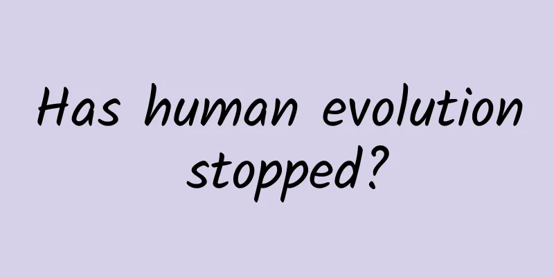 Has human evolution stopped?